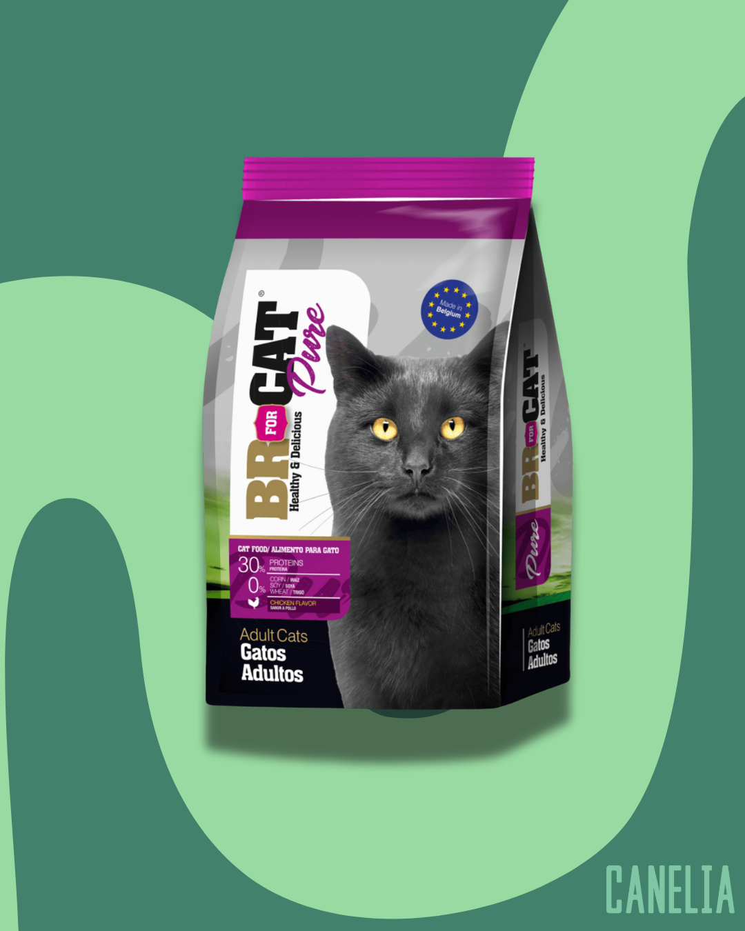 BR For CAT Gato Adulto