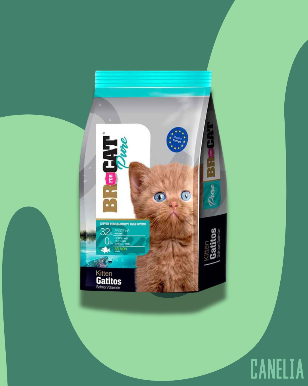 BR For CAT Gatito Salmón