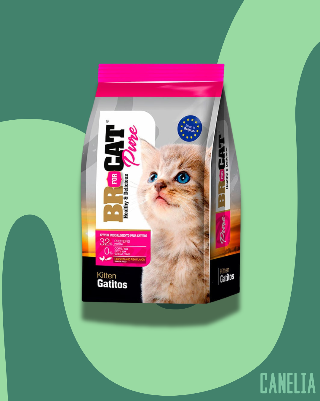 BR For CAT Gatitos