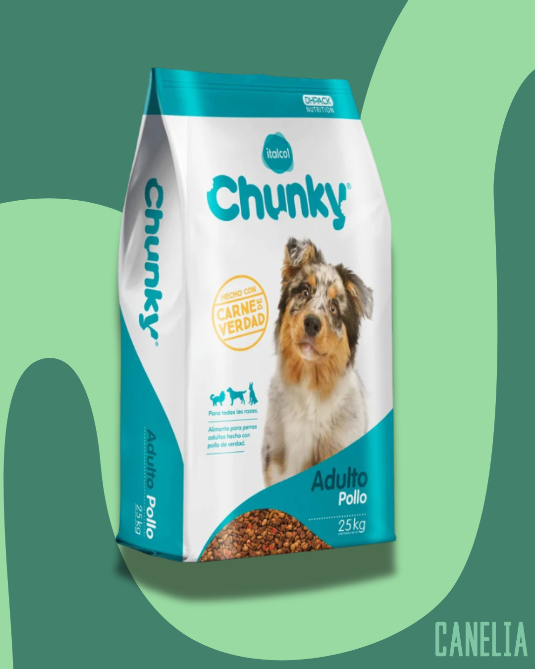 Chunky perros adultos sabor pollo
