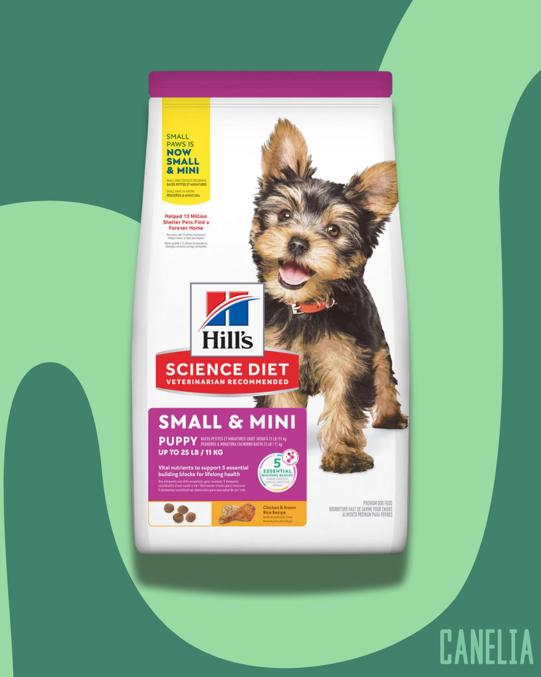 Hill´s Science Puppies Small & Mini