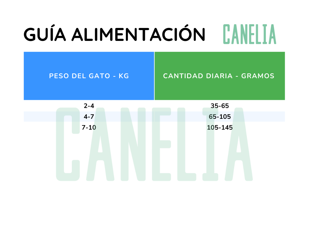 AGILITY GOLD Gatos Esterilizados